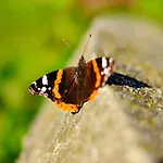 Marijan By Interhome Ferienhaus Ljutomer