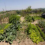 Ferienhaus Marijan By Interhome *