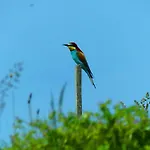 Marijan By Interhome Ferienhaus